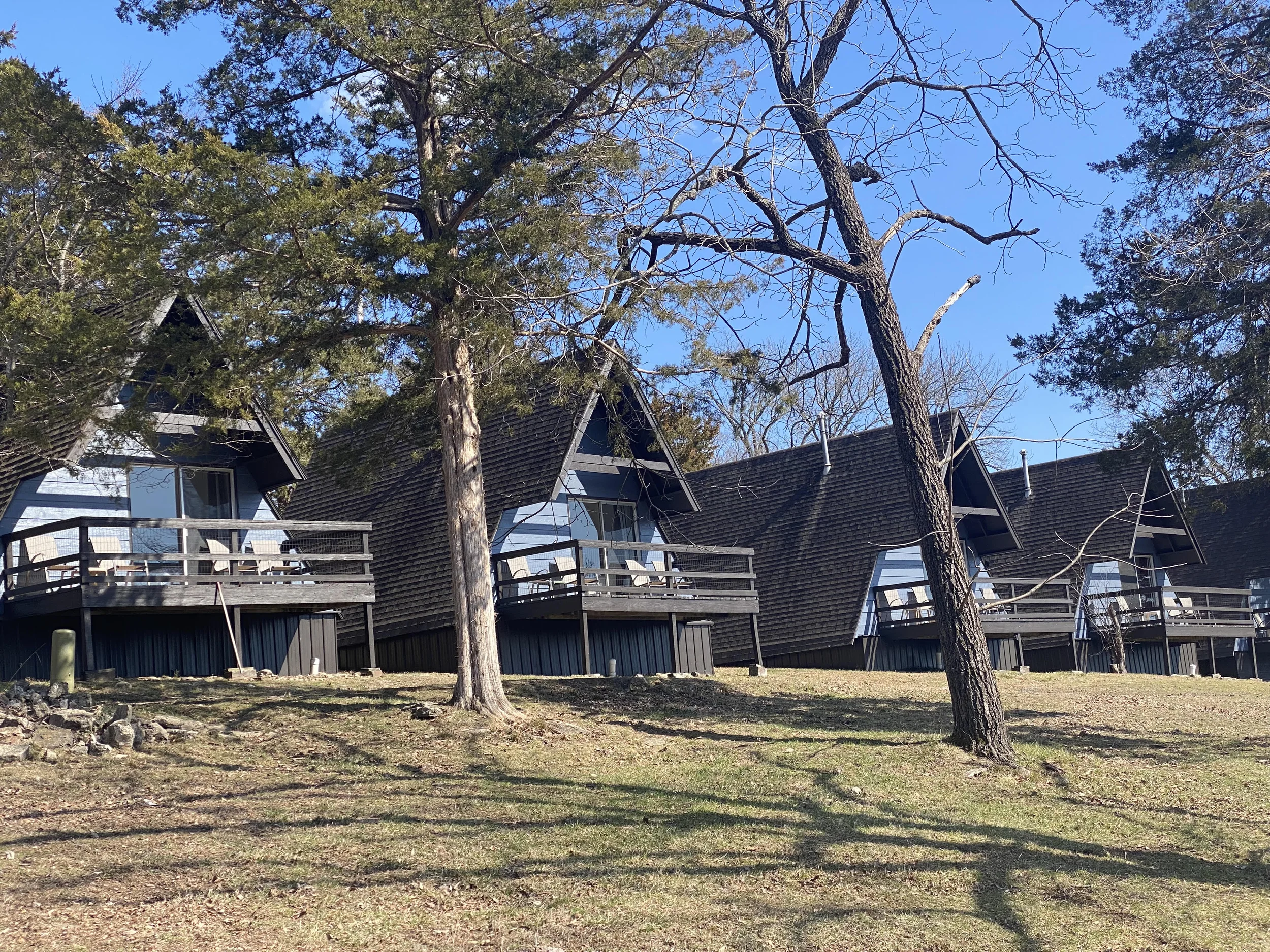 Cabins through the trees